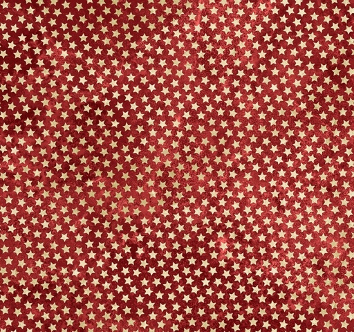 [NOR-28375-24] America 250 Stars Red-Beige by Linda Ludovico for Northcott Fabrics