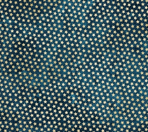 [NOR-28375-49] America 250 Stars Navy-Beige by Linda Ludovico for Northcott Fabrics