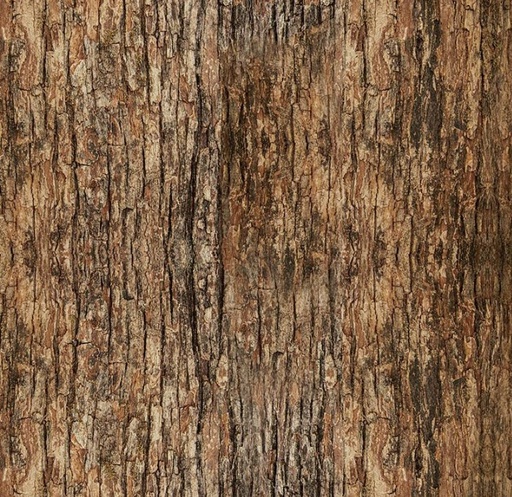[TTR-3832-BRWN] Woodland Retreat Tree Bark Brown by Chong-A Hwang for Timeless Treasures
