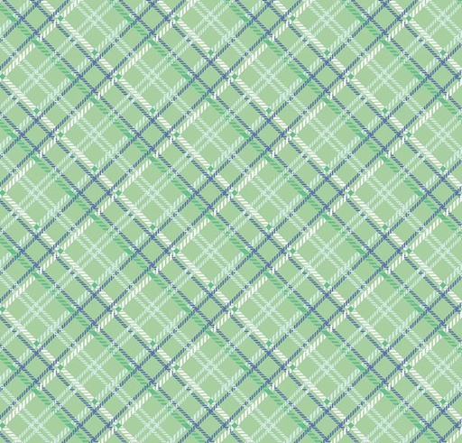 [RB-16651-SAGE] Simple Pleasures Plaid Sage by American Jane for Riley Blake Designs