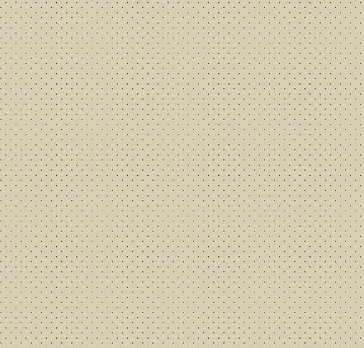 [RB-840-IVRY] American Jane Pindots Ivory by American Jane for Riley Blake Designs