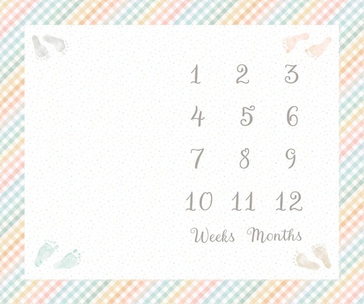 [PB-6019PA] First Impressions How Old Am I? Panel Flannel from P&B