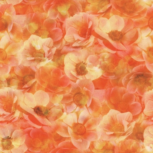 [Hof-x5629-224] Flourish Large Floral Poppy from Hoffman