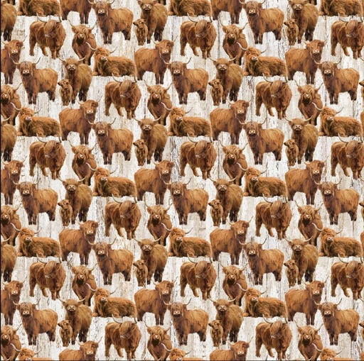 [NOR-DP28690-12] Highland Home Highland Cows from Northcott