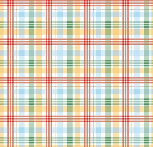 [RB-17005-MULTI] Winnie The Pooh Plaid Multi by Echo Park Paper Co. for Riley Blake Designs