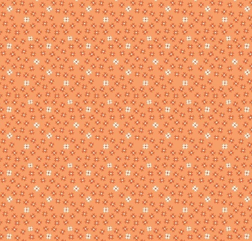 [RB-9695-MLN] Prim Churn Dash Melon by Lori Holt for Riley Blake Designs