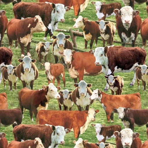 [TTR-3341-MULTI] Home on the Range Hereford Cows in a Corral from Timeless Treasures