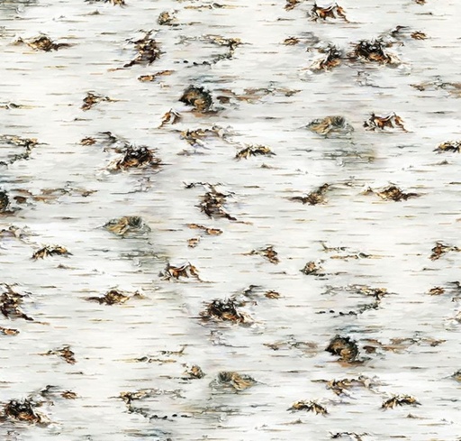 [TTR-3199-BRCH] Serenity Prayer Birch Tree Texture by Dona Gelsinger for Timeless Treasures