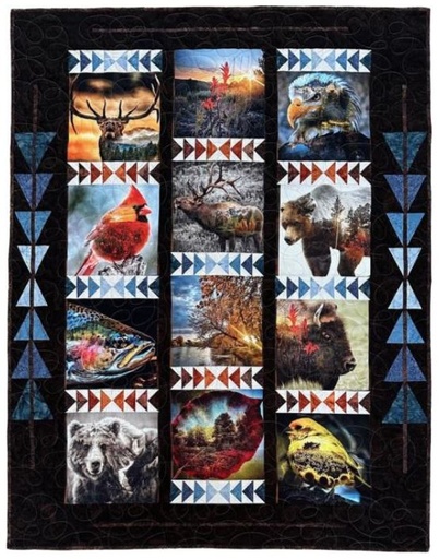 [PP-Wilder] Wilder Quilt by Hoffman