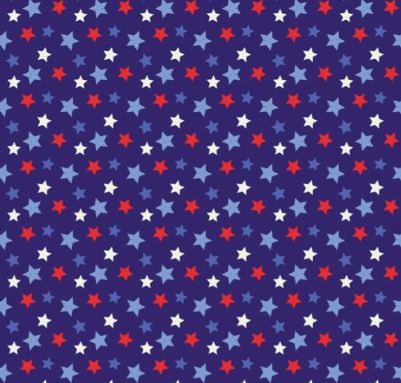 [PP-RoadTrB] Road Trip Quilt Backing Kit