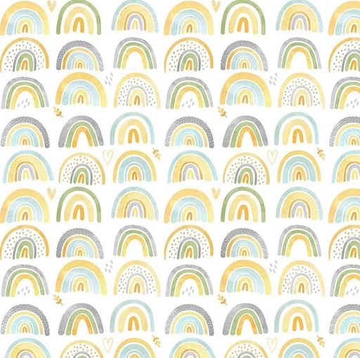 [NOR-27766-10] Sunny Safari Rainbow Multi from Northcott Fabrics
