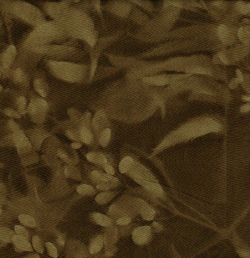 [BT-0603] Bali Sun Print Batiks Leaves Dark Brown from Batik Textiles