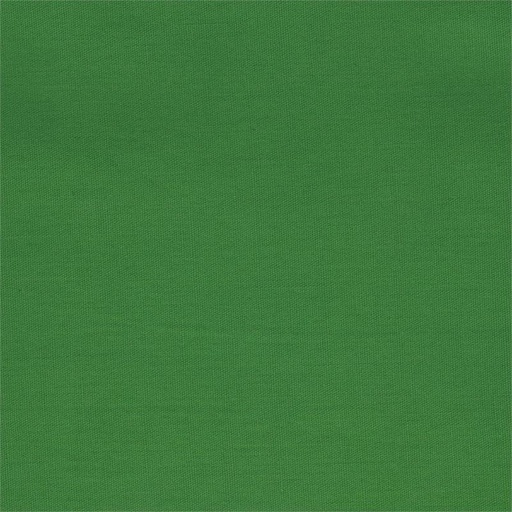 [BT-13-01] Essentials Solids Batiks Kelly Green from Batik Textiles