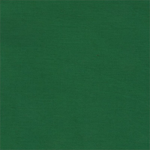 [BT-13-02] Essentials Solids Batiks Pigment Green from Batik Textiles