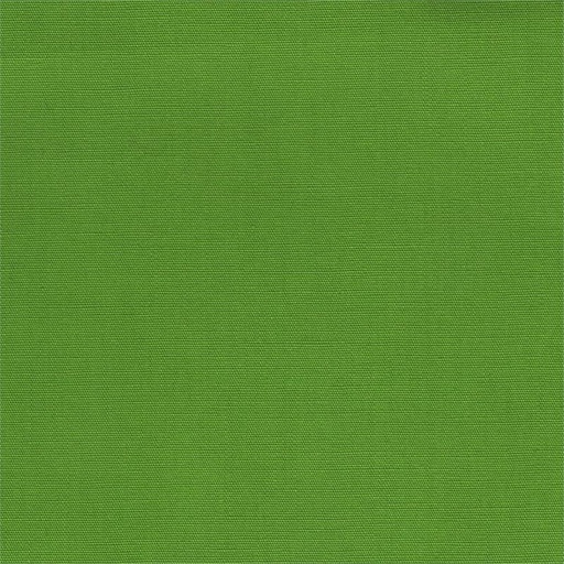 [BT-13-03] Essentials Solids Batiks Apple Green from Batik Textiles