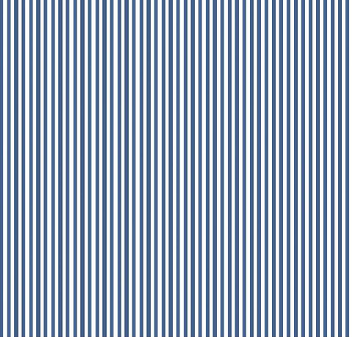 [RB-C495-DENIM] 1/8" Stripes Denim from Riley Blake