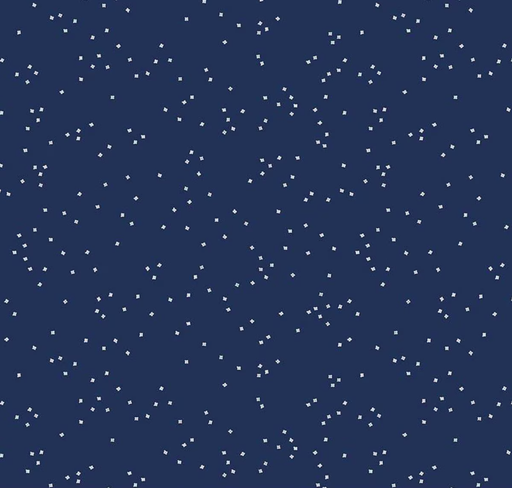 [RB-C715-NAVY] Blossoms Navy from Riley Blake