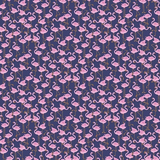 [DS-D3367-N] Birds of a Feather Party Like a Flockstar Navy from Dear Stella