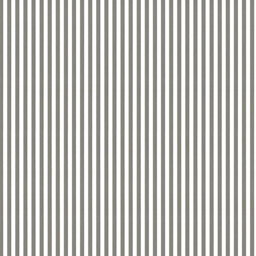 [RB-17149-GRY] Egg Hunt Stripes Gray by J. Wecker Frisch for Riley Blake Designs