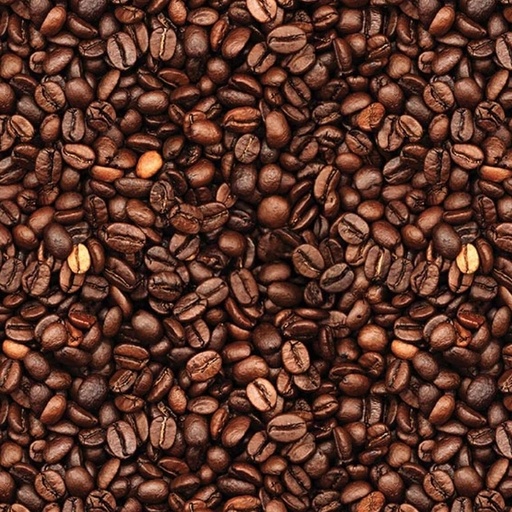 [RB-CD17135-BRWN] Coffee Time Coffee Beans Brown from Riley Blake Designs