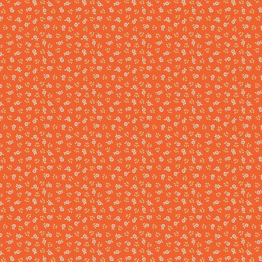 [RB-C17425-ORANGE] Peach Cobbler Meadow Orange from Riley Blake