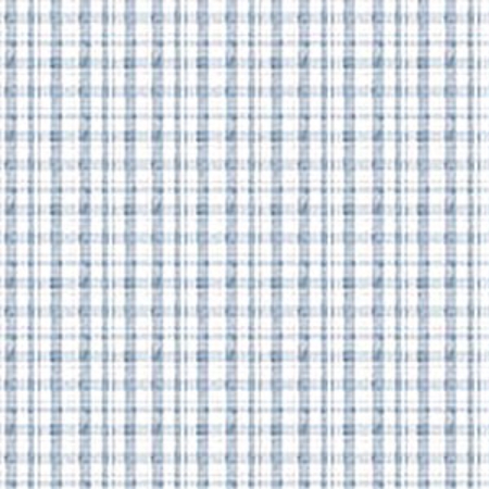 [NOR-91245-40] Soaring Dreams Gingham Blue from Northcott Fabrics