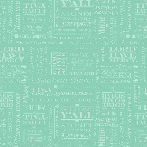 [RB-C17443-MINT] Southern Charm Text Mint from Riley Blake