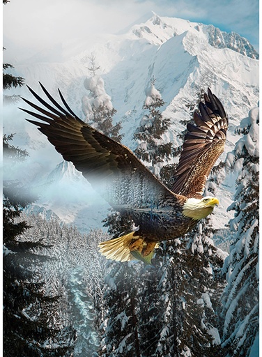 [HOF-Y5774-736] Call Of The Wild Awakening Panel from Hoffman Fabrics