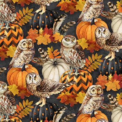 [NOR-DP28846-96] Night Owl Owl & Feathers Charcoal Multi from Northcott Fabrics