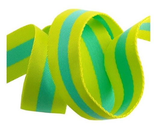 [TK-90-38-04] Tula Pink Web 1.5" Lime/Bright Aqua