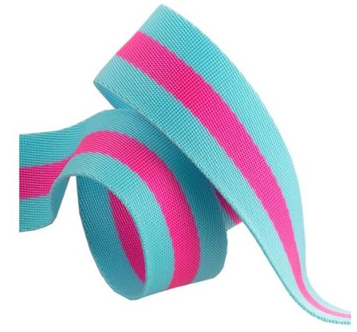 [TK-90-38-05] Tula Pink Web 1.5" Aqua/Hot Pink