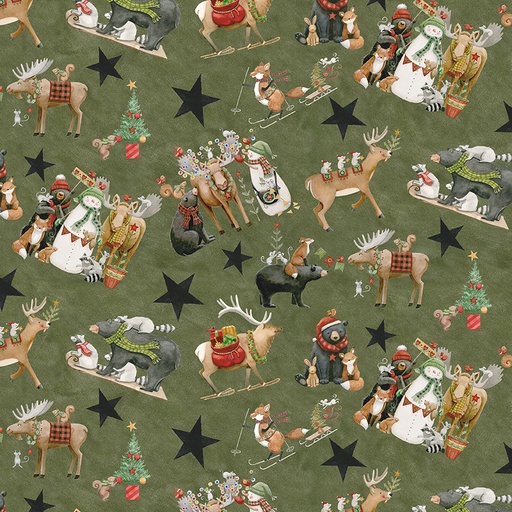 [RB-C17830-GREEN] Northern Christmas Main Green by Teresa Kogut from Riley Blake Designs