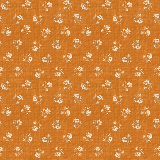 [RB-C17790-AMBER] Baked With Love Heirloom Amber by Lori Holt from Riley Blake Designs