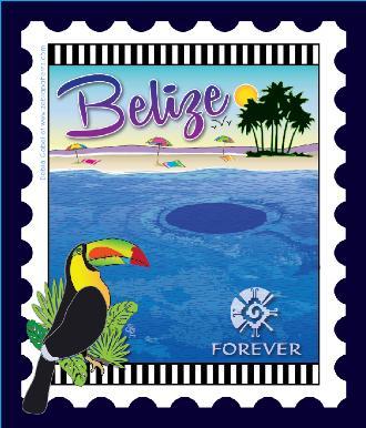 [ZEB-81166M] International City Stamp: Belize